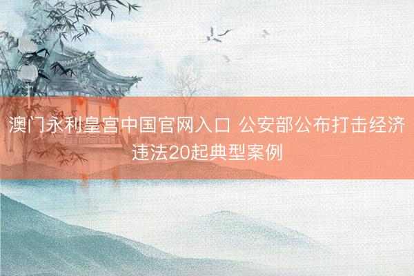 澳门永利皇宫中国官网入口 公安部公布打击经济违法20起典型案例