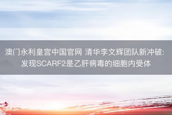 澳门永利皇宫中国官网 清华李文辉团队新冲破: 发现SCARF2是乙肝病毒的细胞内受体