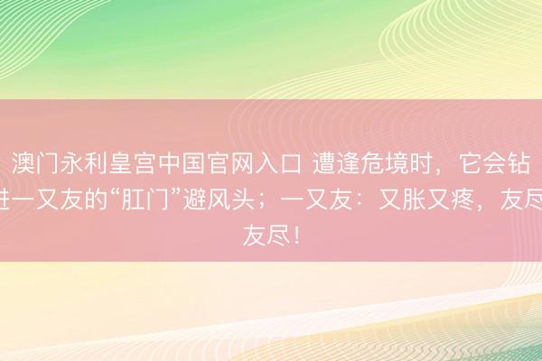 澳门永利皇宫中国官网入口 遭逢危境时，它会钻进一又友的“肛门”避风头；一又友：又胀又疼，友尽！